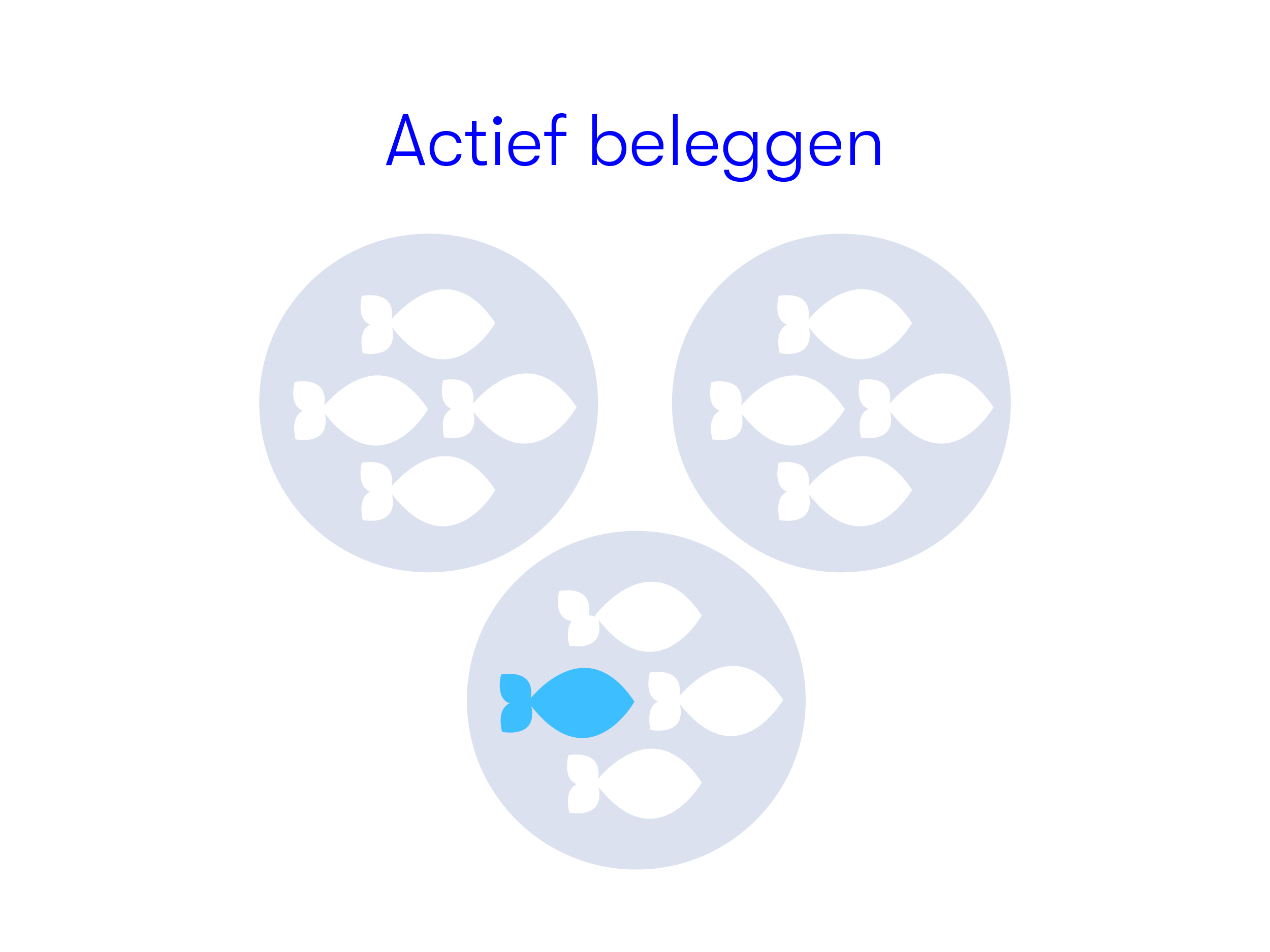 Actief Beleggen