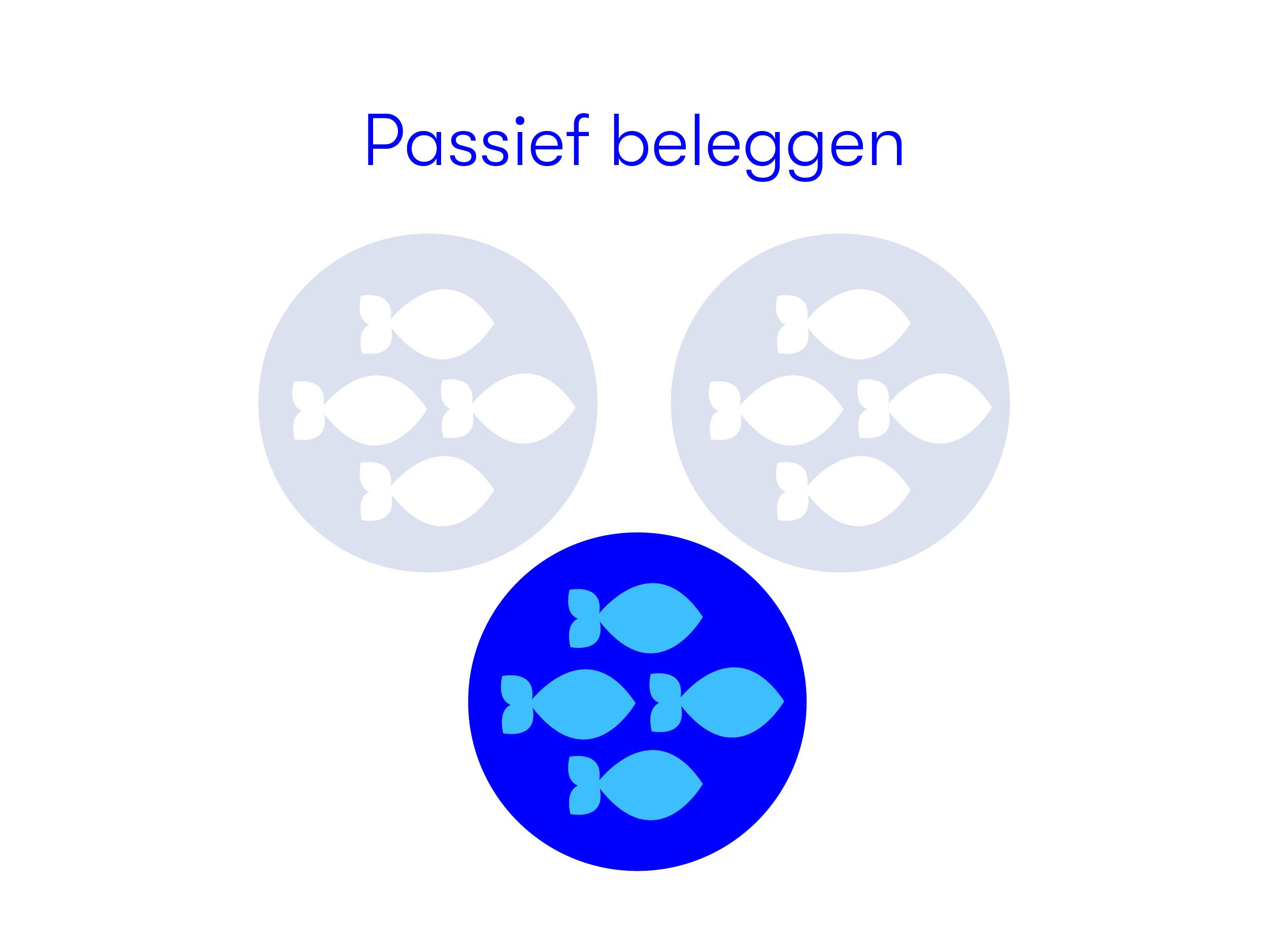 Passief Beleggen
